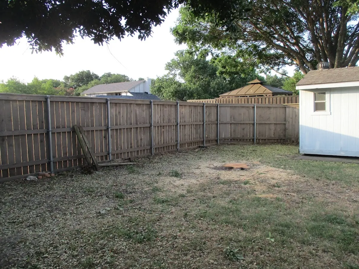Cleared yard after professional tree removal in Tazewell